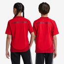 Conjunto Infantil Adidas Bayern de Munique 2024/25 I Torcedor