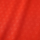 Camisa Portugal I 2025 Manga Longa